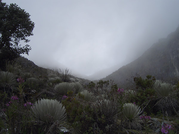 tabay merida venezuela