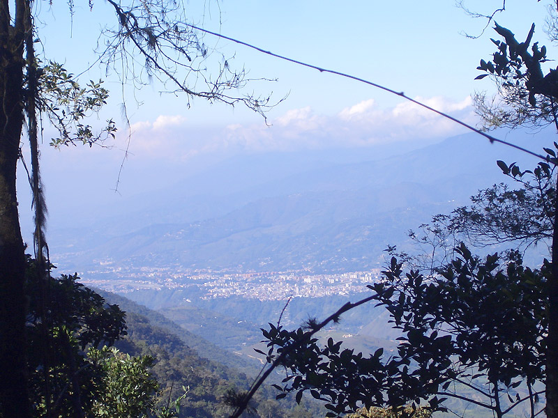 La Mucuy Venezuela