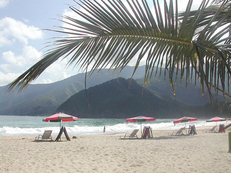 choroni - venezuela