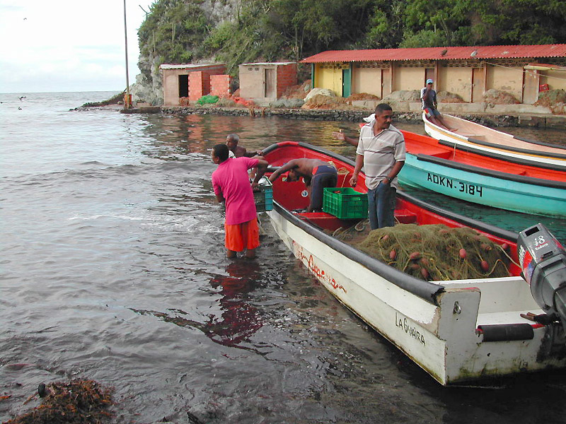 choroni - venezuela