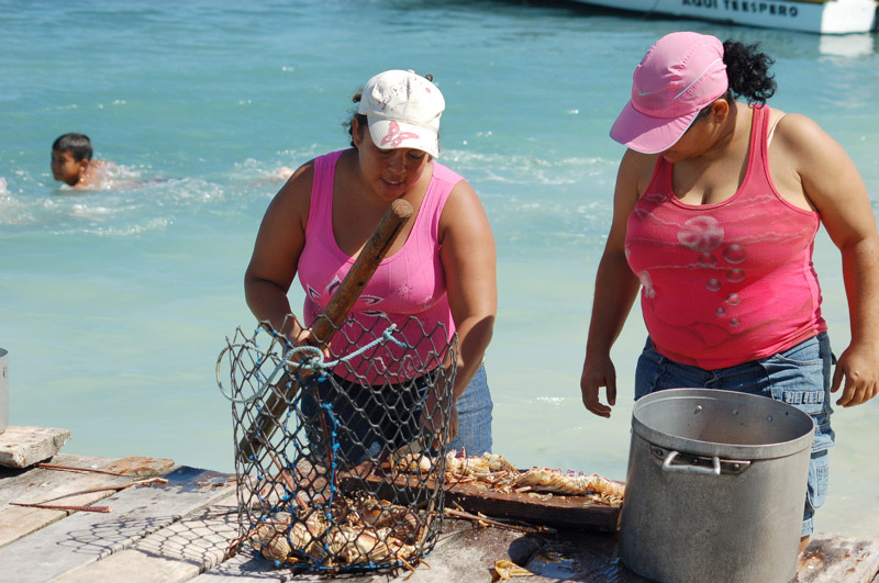 los roques - venezuela