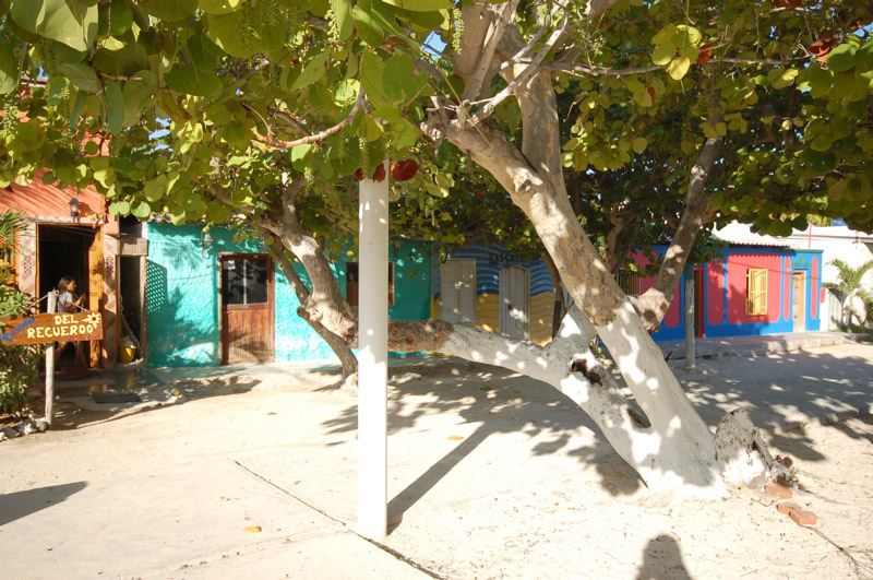 los roques - venezuela